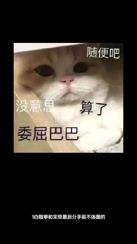 白敬亭宋轶分手后持续较劲，周冬雨尝试改变性格，《有罪之身》收官突然