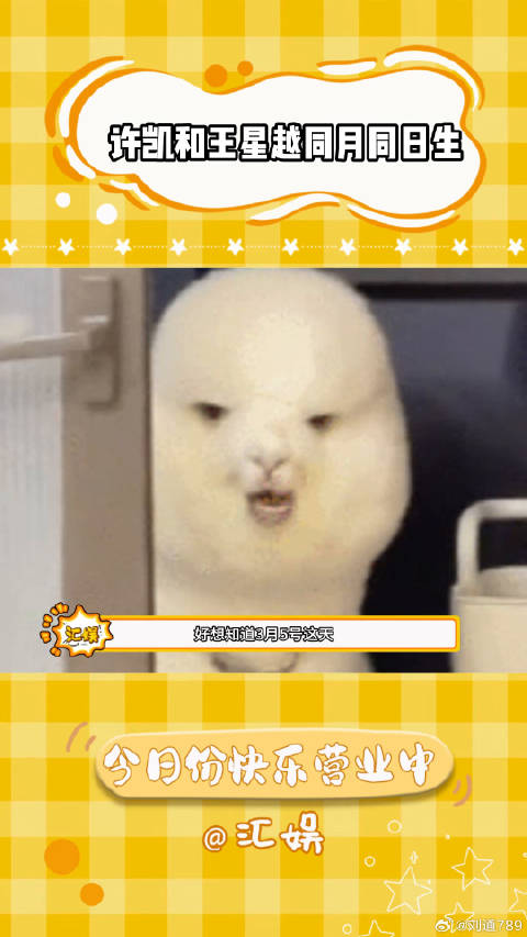 苏醒：这泼天的富贵竟有我的一份许凯 苏醒 微博VC计划