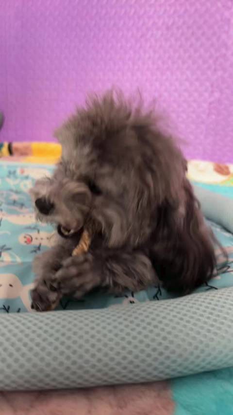 心灵抚慰与日常小确幸的温柔对话