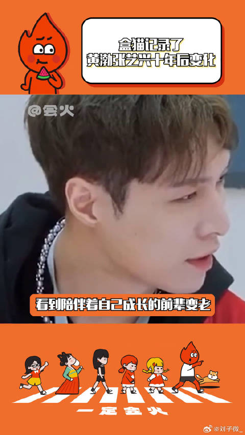 盒子里的猫 感人 微博VC计划