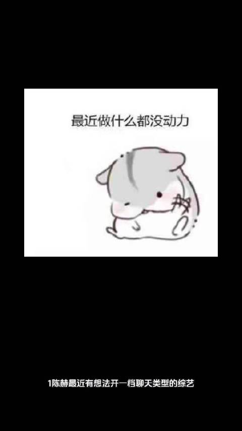 陈赫拟开聊天综艺孙千女主风头被抢谢娜张杰未受负面影响郭敬明力捧邓为