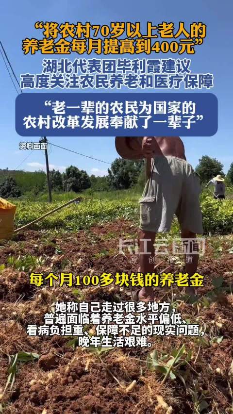 湖北代表建议提高农村老人的养老金至每月400元