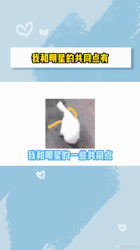 谁不想当一名这样的“作家”呢？赵丽颖 陈伟霆