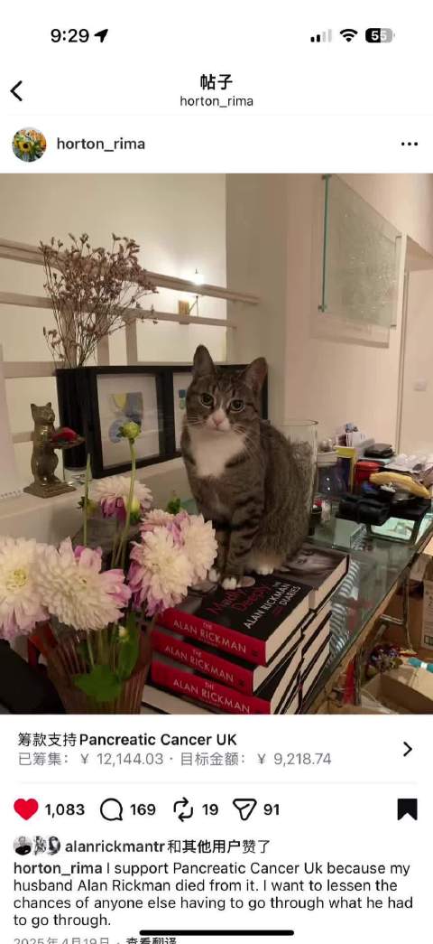 才注意到艾伦养的小猫底下踩着他的日记