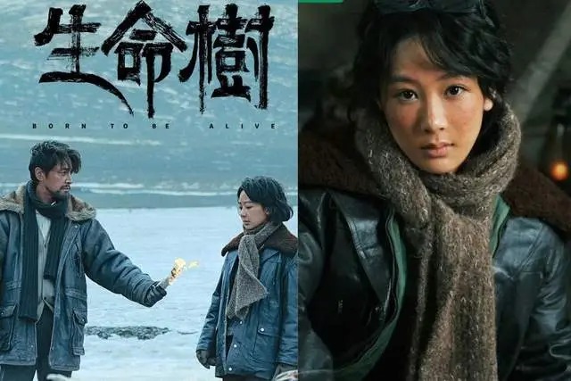 《生命树》真实原型故事太悲壮！ 剧情亮点+角色介绍