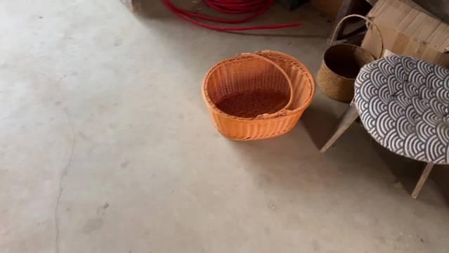 带仔仔去收豆角 活跃的像只小野兔 田园犬的快乐来源于田间地头