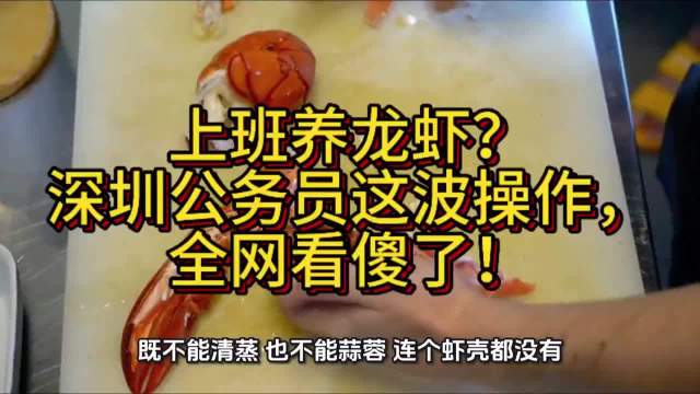 深圳福田公务员养政务龙虾真相，AI数智员工助力智慧政务