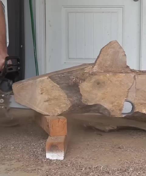 國外小夥用木頭製作了一條能動的木鯊魚和木海豹，有創意