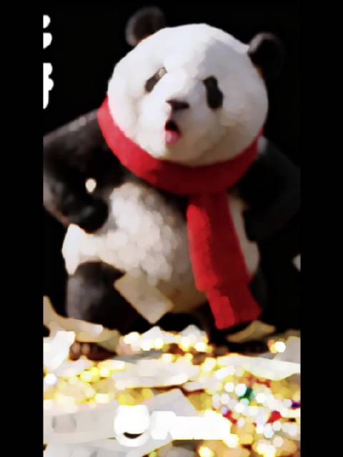 熊猫守护者发布励志歌曲《愿你抬头有光》