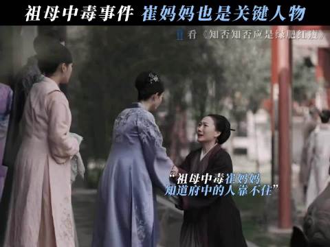 崔妈妈不愧是祖母的身边人 知否知否应是绿肥红瘦