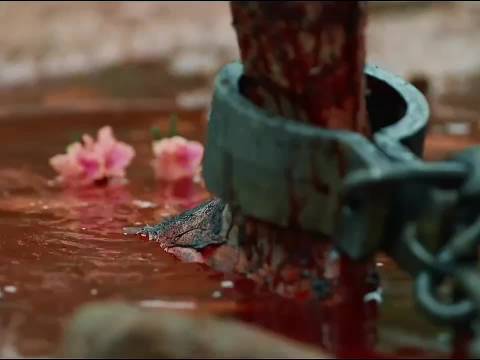 去时少年身，归来英雄魂