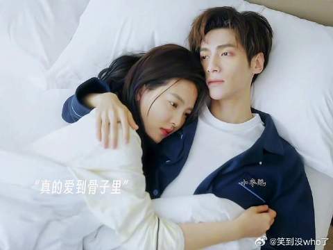治愈系恋人苏为安顾云峥失而复得甜蜜反撩