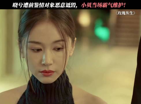 晓兮遭前鉴情对象恶意诋毁，小贝当场霸气维护！ 玫瑰丛生｜王子文｜刘宇宁