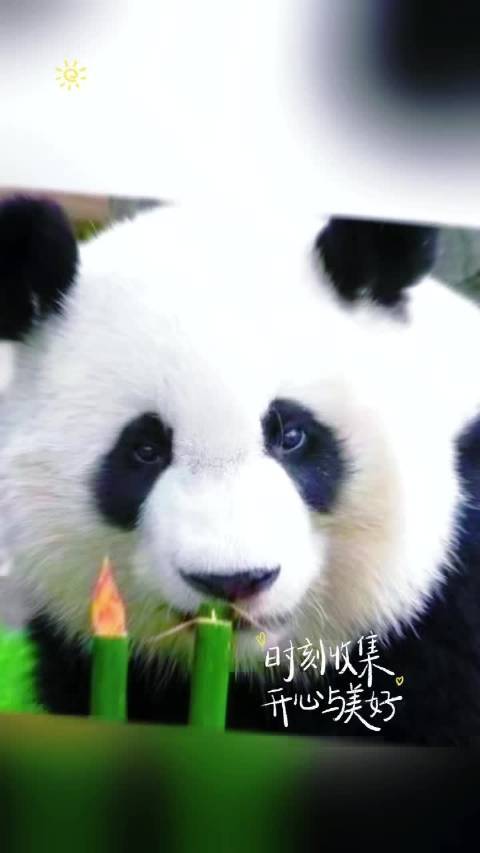 祖国四季皆似锦微博会员成长津贴话题引共鸣