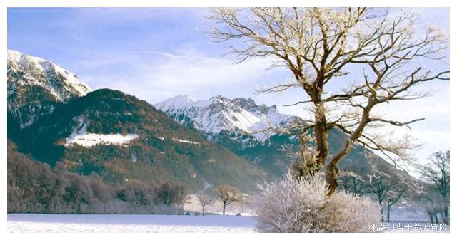 成年人的分寸感，是点到为止的沉默!