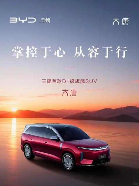 大唐 把人生的掌控感稳稳给你