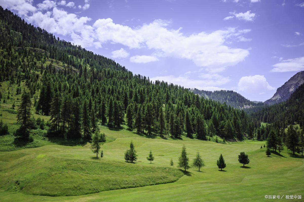 农村社保最新情况,60周岁以上农民能领哪些养老金?