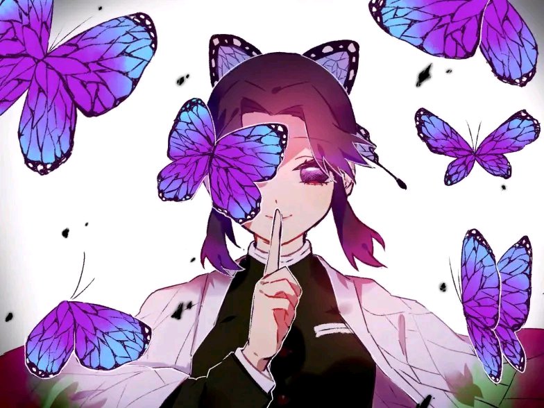 鬼灭之刃:蝴蝶忍