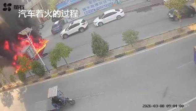 那辆SUV司机真是人才！