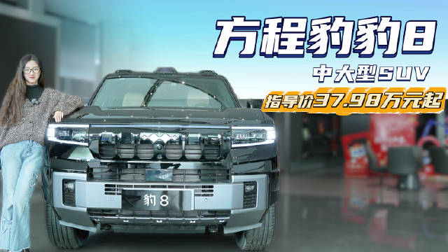 三十万级智能硬派越野 有多种座椅布局可选 方程豹豹8性价比如何？