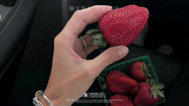 2026宁静文案集锦：生命画板别停笔，世界开花我渺小爱它