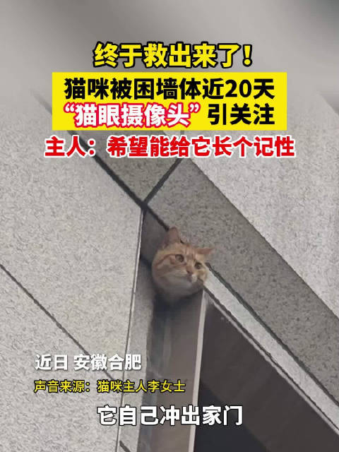 合肥真猫眼监控被困近20天终获救