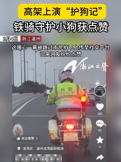 浙江铁骑守护小狗获网友点赞