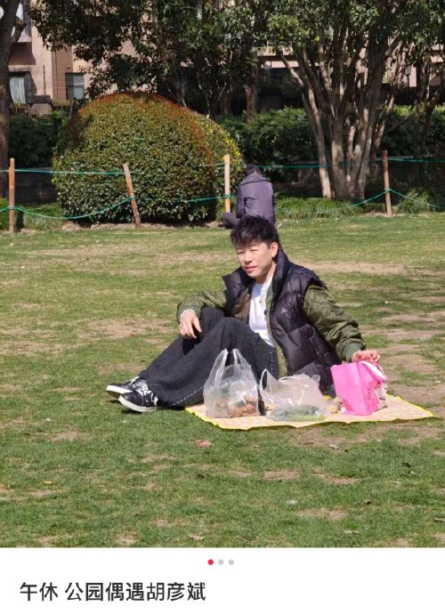 胡彦斌这次在丽园公园野餐是独自一人还是有同伴？