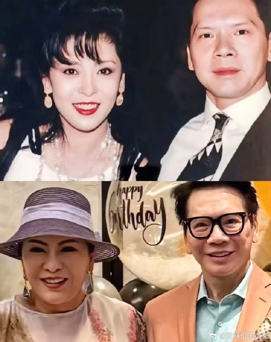 公众对向太与向华强的豪门婚姻关系有哪些普遍的浪漫化想象？