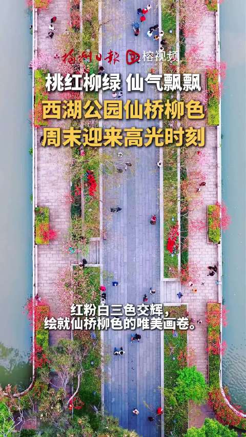 福州西湖春日美景