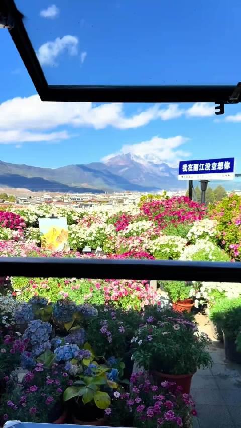 杨幂刘诗诗等女星WeChat头像背景图推荐