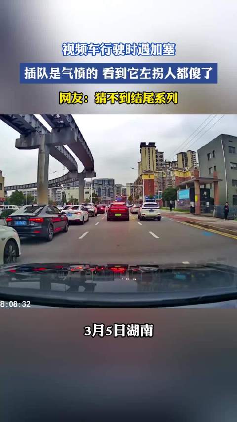 视频车行驶时遇加塞，插队是气愤的看到它左拐人都傻了，网友：猜不到结尾系列