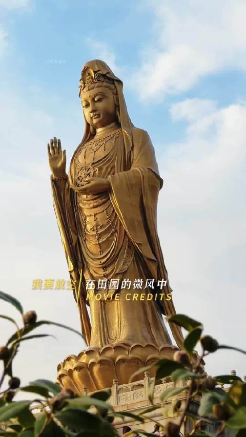 普陀山寻旅行搭子陪逛陪拍，常驻岛摄影视频全包