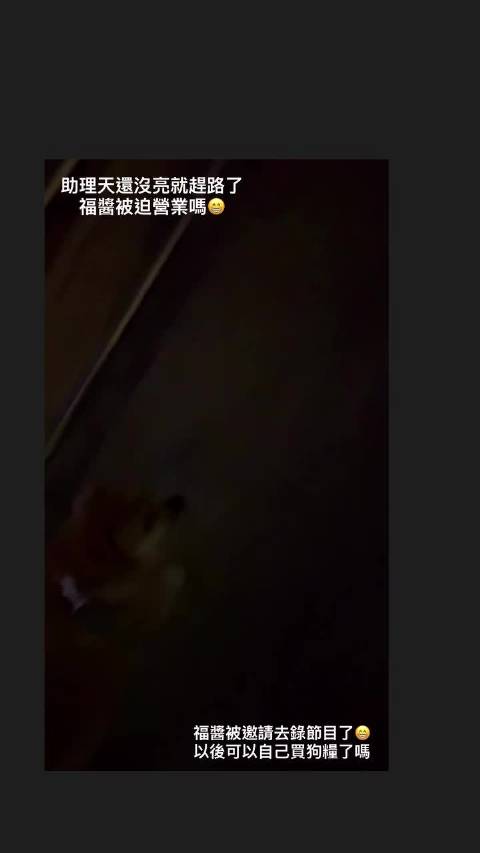 破案了乔恩上海录五哈6了 绝了节目组连狗狗都邀请了