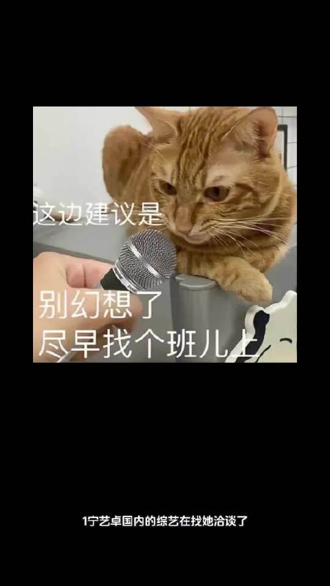 宁艺卓洽谈国内综艺，姜珮瑶将主演桃剧，金晨新剧低调开机，侯明昊筹备巡演