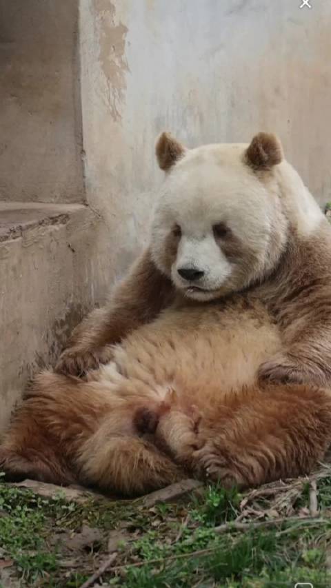 仔仔，今天偷感有点重哦！嘻嘻！