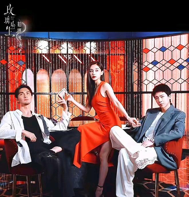 又一部好剧来袭,2月26号正式开播,王子文蒋欣刘宇宁高伟光