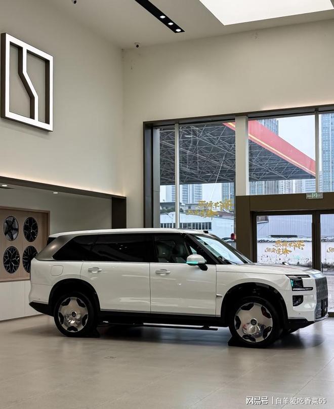 问界M9和极氪9X，旗舰级车二选一