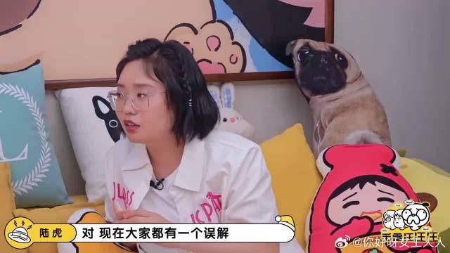 陆虎在线回应百万调音师，它只会让你更适应现场的声音