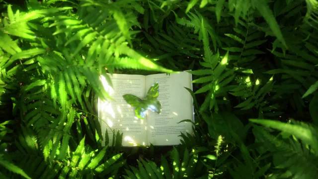 微博会员成长津贴超话倡导心灵宁静传递善良