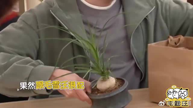 汪苏泷娱圈人缘多好？开演唱会来一堆朋友，张若昀毛不易梦幻联动