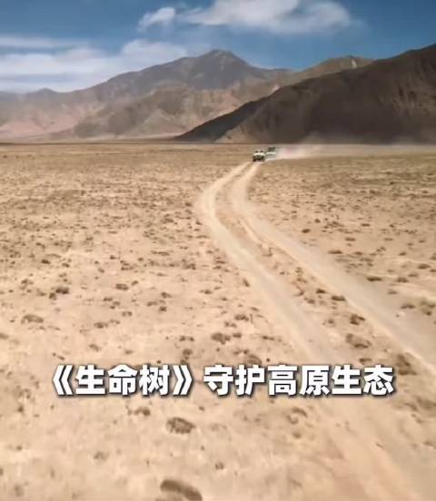 两会新夸夸 生命树真棒