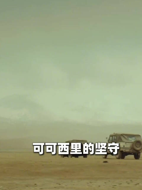 生命树太平年火到了两会上