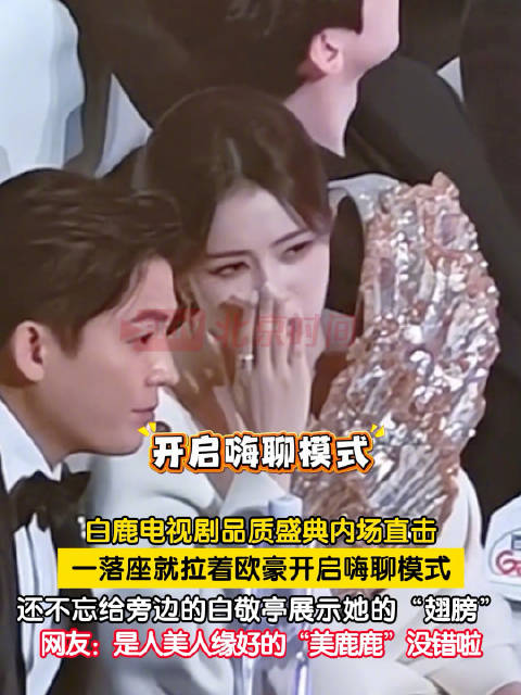 电视剧品质盛典内场，白鹿四处聊天，看向白敬亭笑意藏不住，聊什么这么嗨？