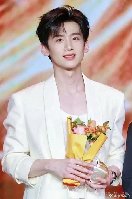 白鹿和白敬亭各自凭借哪些作品获得了演技上的认可和奖项？