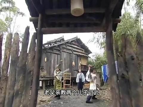 老父亲偏心将祖传武功传给大儿子