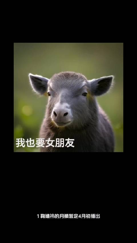 鞠婧祎《月鳞》4月初播，周也翟潇闻新剧3月开机