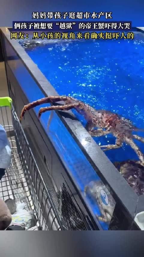 妈妈带孩子逛超市水产区，俩孩子被想要“越狱”的帝王蟹吓得大哭