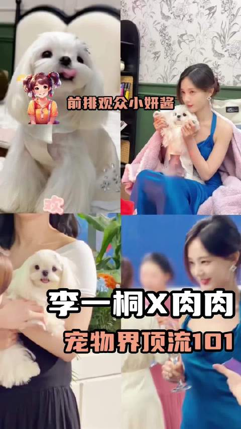 养狗千日用狗一时檀健次 萌宠