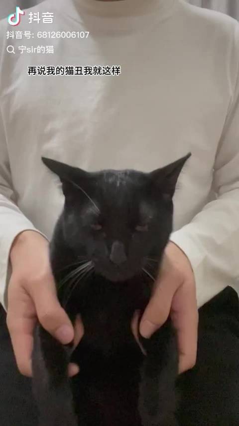 条条舞蹈室（其实是出租屋里）怪奇物语练习室版（未见到小咪版）